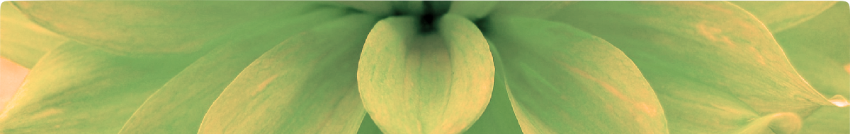 Personal Performance Consultants - Courage to perform well, setting the foundations for your continued success, today.